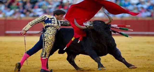 Bull fighting most dangerous sports ranked