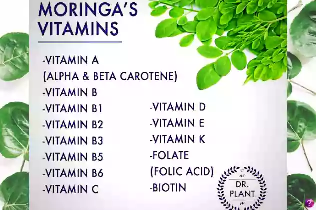 Vitamins in Moringa