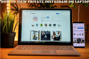 How to View private Instagram on laptop
