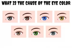 What is the cause of the eye color