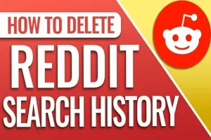 How to delete reddit search history