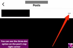 You can see the three-dot option on the post's top right corner