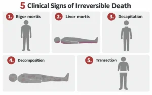 signs of irreversible death including rigor mortis - when not to perform CPR