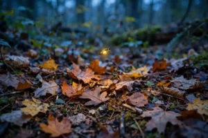 A firefly glowing above fallen autumn leaves at dusk, leaf litter wildlife habitat